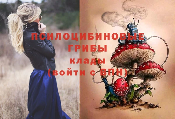 кокс Алексин