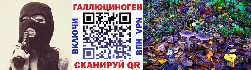 Псилоцибиновые грибы Psilocybe  ссылка на мегу как войти  даркнет формула  Игарка 